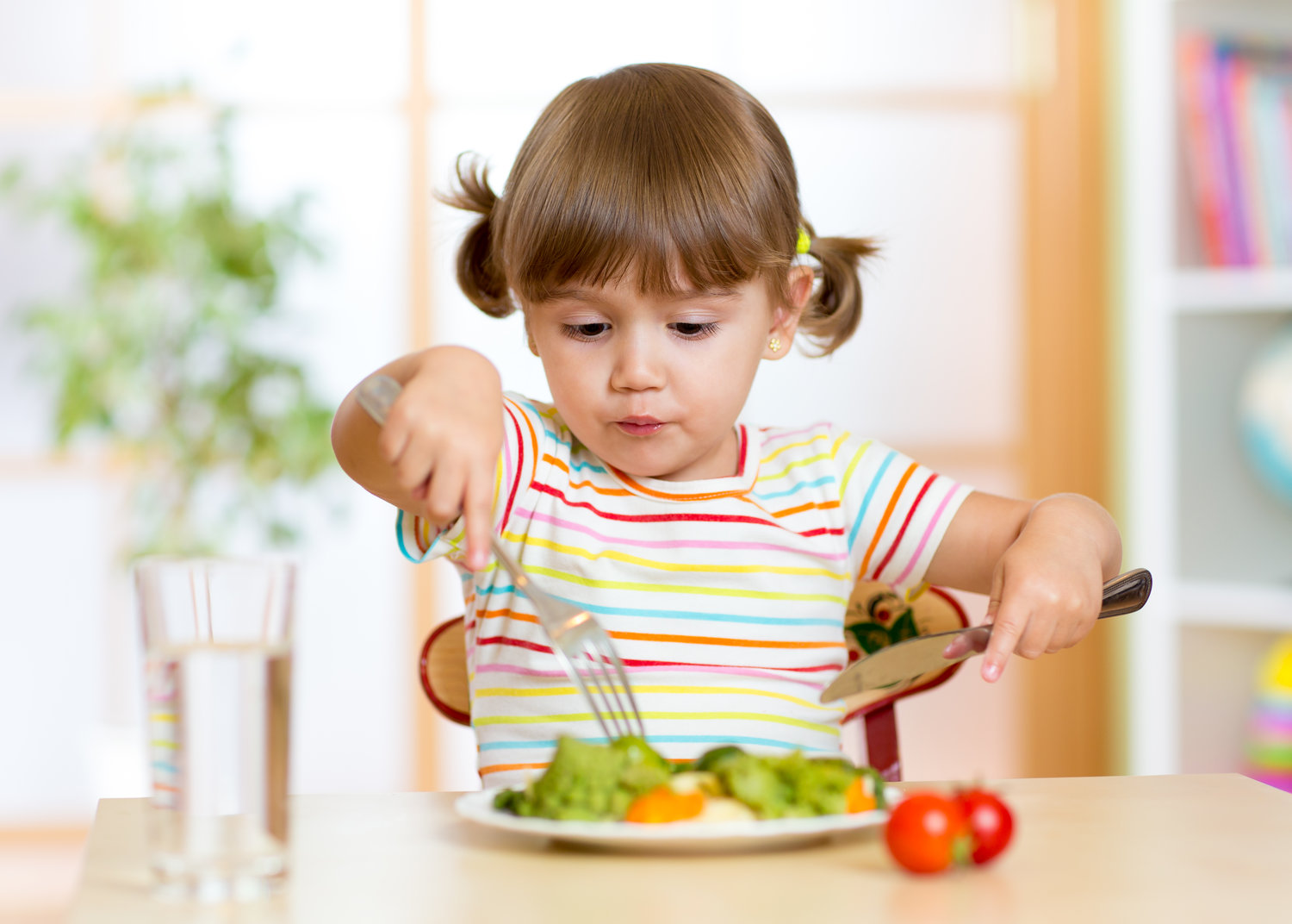 Toddler Nutrition