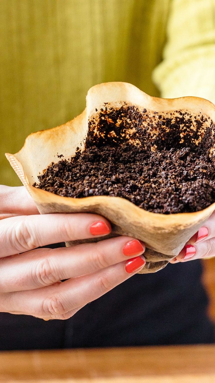 Coffee Grounds: Cool Uses for Your Kitchen, Garden, and Beauty Routine