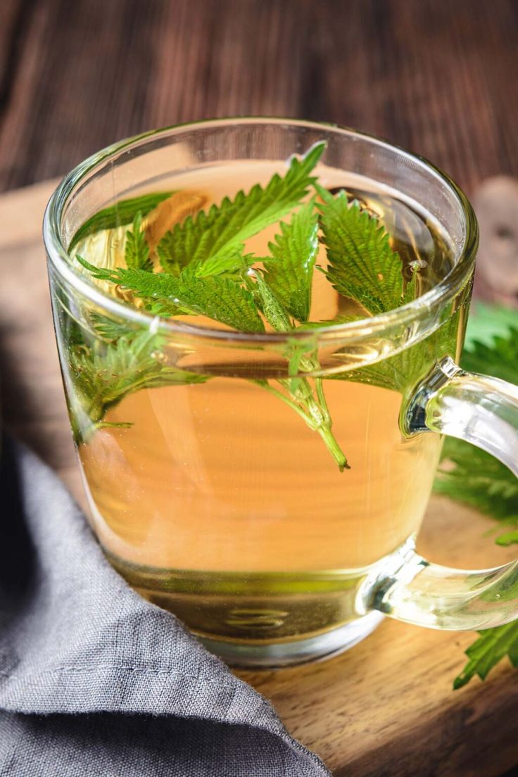 Nettle: Properties, Culinary Uses, and Beauty Benefits